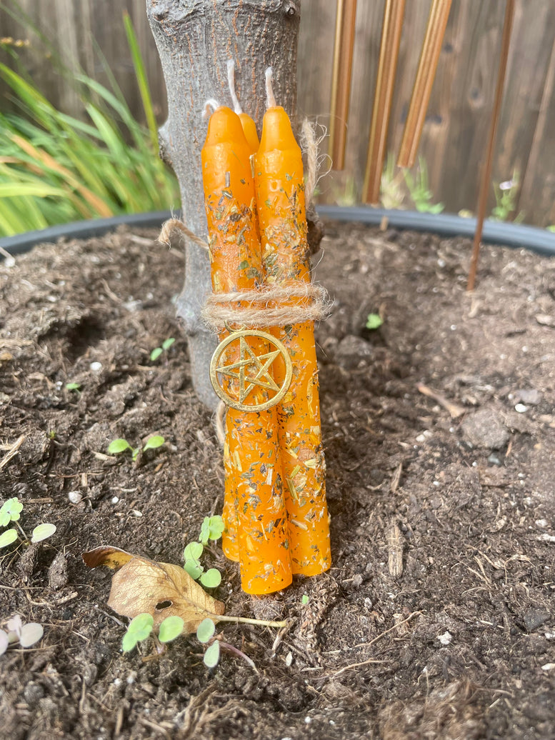 Witches Self Confidence Ritual Spell Kit | Self Love | Empowerment | Witchcraft | Wiccan | Pagan | Spell Candles | Oils | Candle | Spray