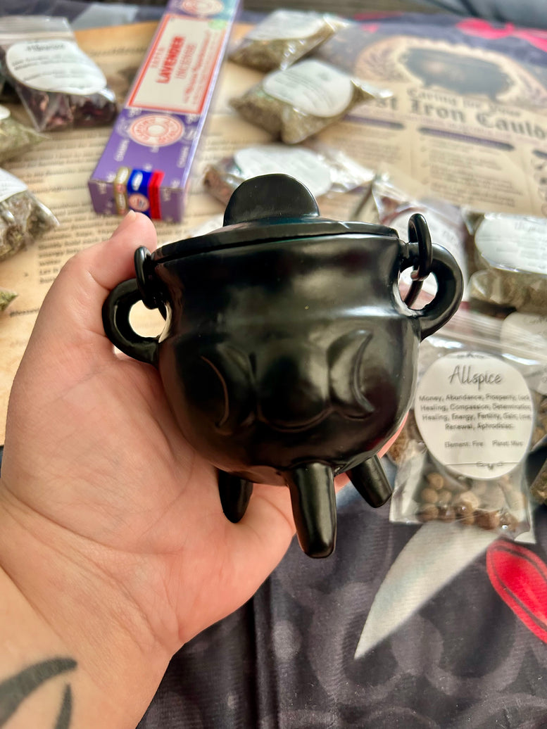 Cast iron cauldron herb kit