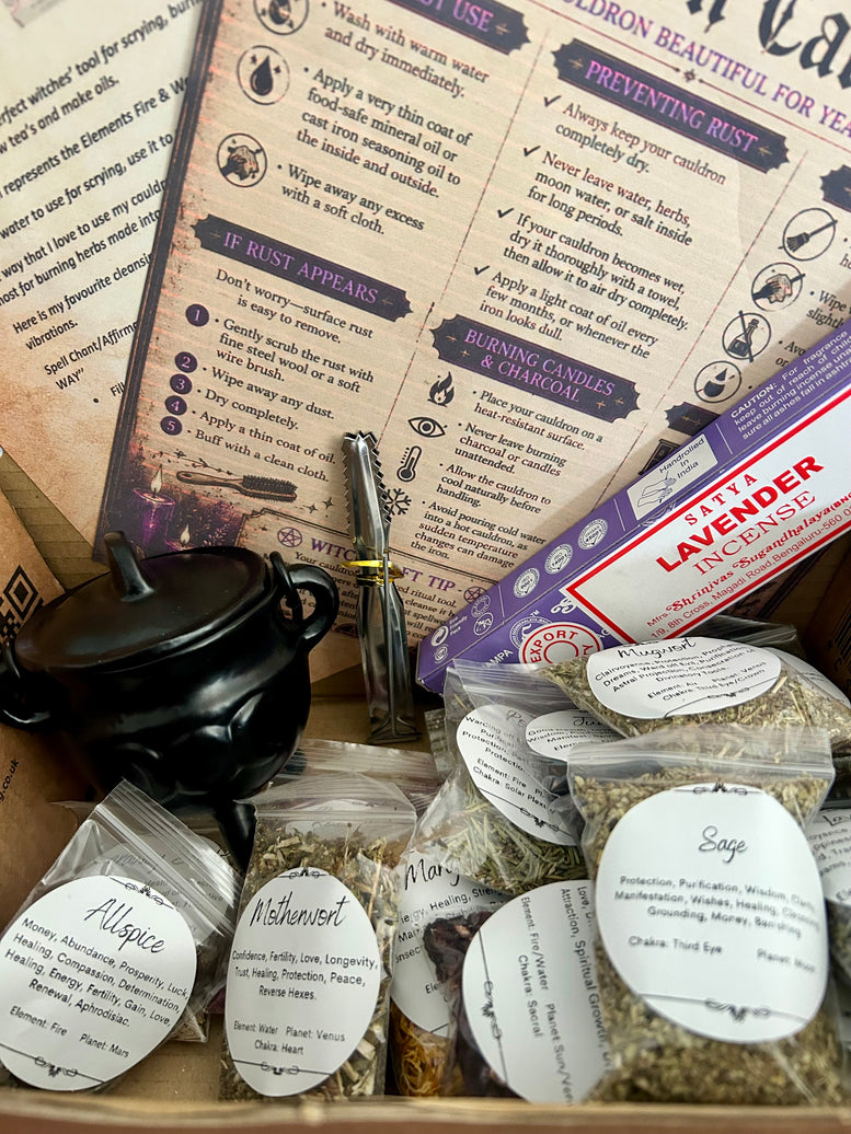 Cast iron cauldron herb kit