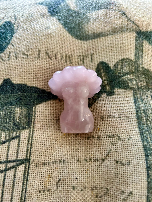 Rose Quartz Lady Body Mushroom Crystal Carving | Fairy | Fae | Reiki | Chakra | Crystal Healing | Gemstones | Witchcraft | Wicca | Pagan