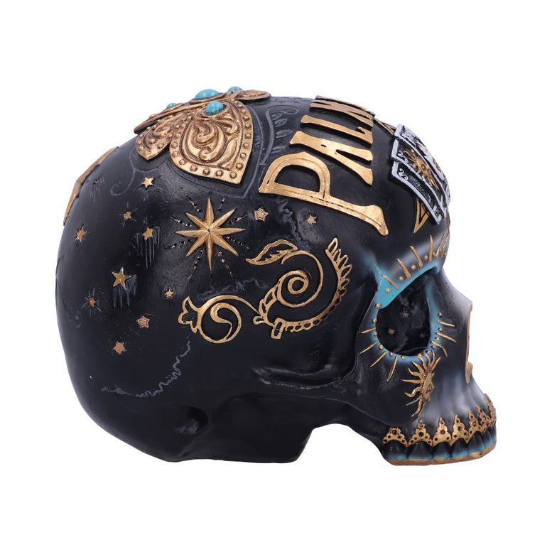 Destiny Palmistry Skull 18cm