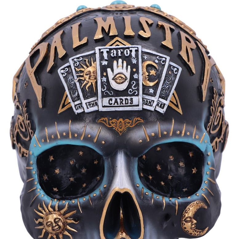 Destiny Palmistry Skull 18cm
