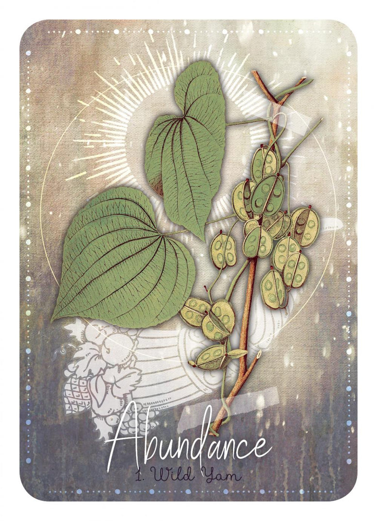 Magickal Herb Oracle | Oracle Cards | Tarot | Divination | Witchcraft | Wiccan | Pagan | Herbs | Guidance | Spirit Work | Mystic | Card Read