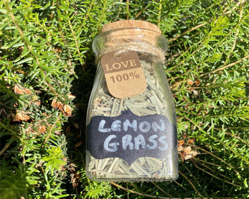 Lemon Grass dried herb Bottle - 100ml