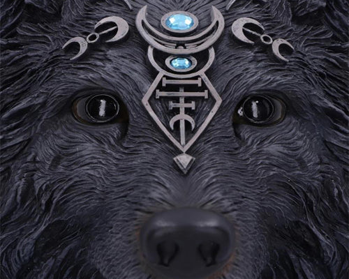 Dark Gothic Magical Wolf Moon Wall Hanging Plaque
