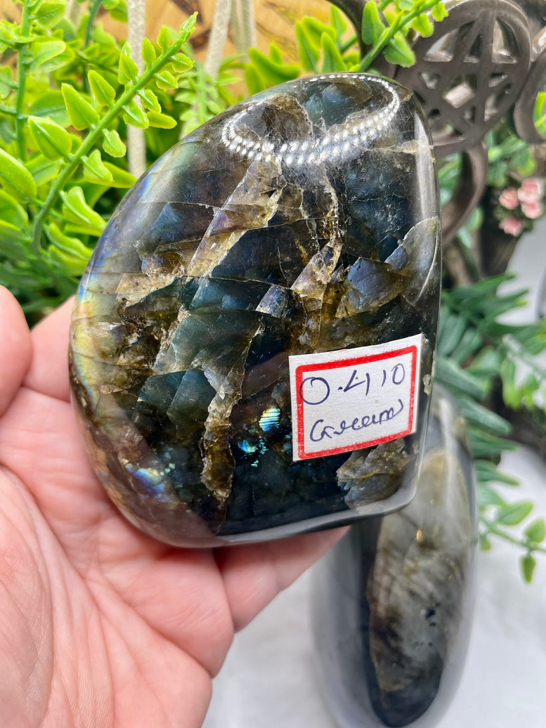 High Grade Flashy Labradorite Polished Freeform’s | Crystals | Reiki | Chakra | Gemstones | Shiny Rainbow Crystal | Home Decor | Rainbow