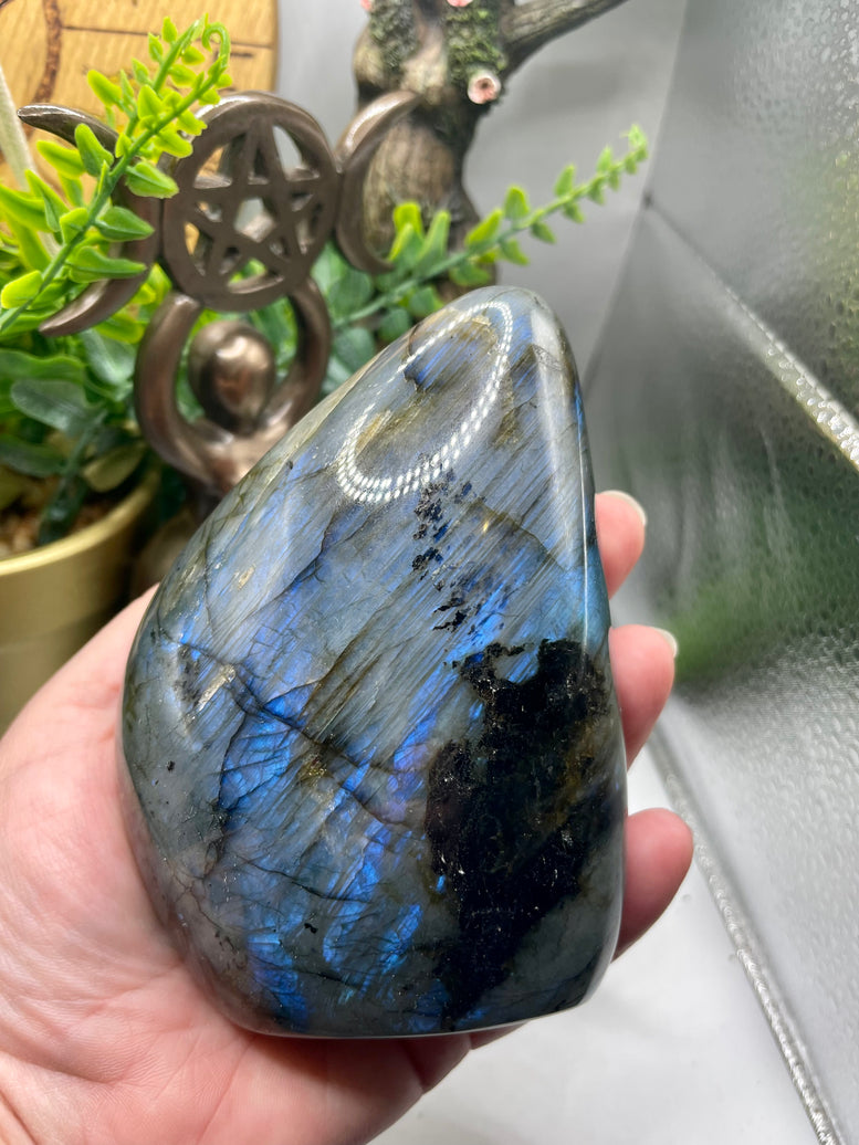 High Grade Flashy Labradorite Polished Freeform’s | Crystals | Reiki | Chakra | Gemstones | Shiny Rainbow Crystal | Home Decor | Rainbow