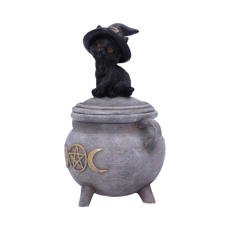 Witch Cat Cauldron Box 14cm