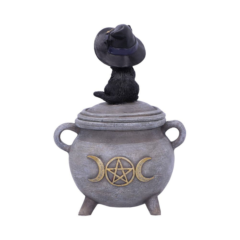 Witch Cat Cauldron Box 14cm