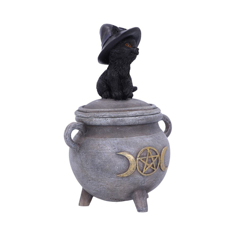 Witch Cat Cauldron Box 14cm