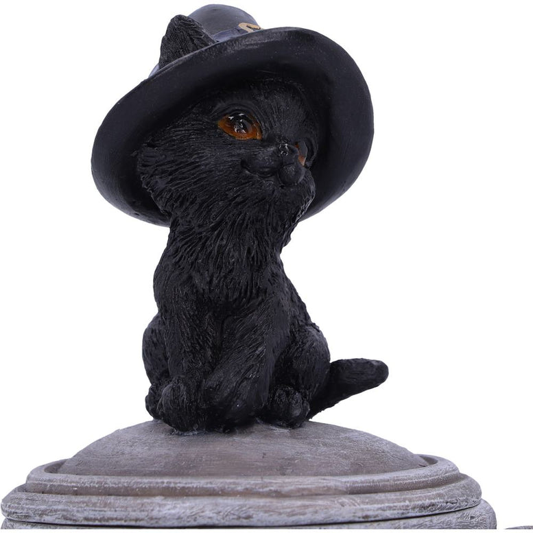 Witch Cat Cauldron Box 14cm