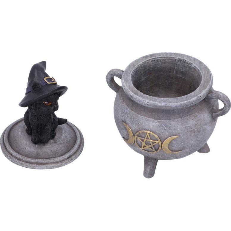 Witch Cat Cauldron Box 14cm