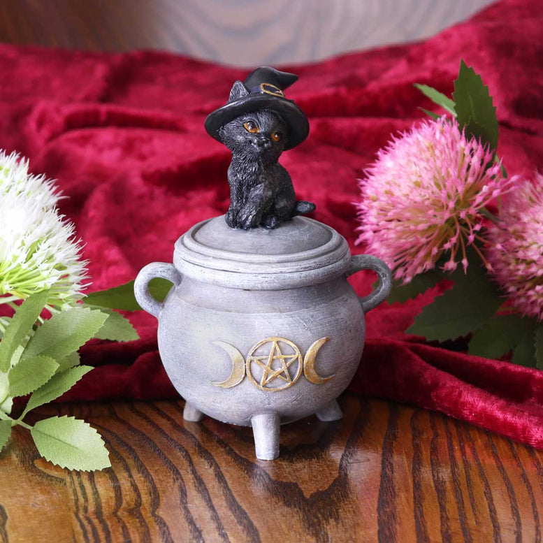 Witch Cat Cauldron Box 14cm