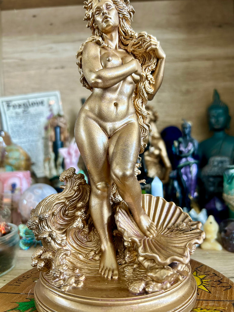 Aphrodite Goddess Statue Resin 3D Printed with Detailed Floral, waves and shell details for Home Decor Ornaments witchcraft