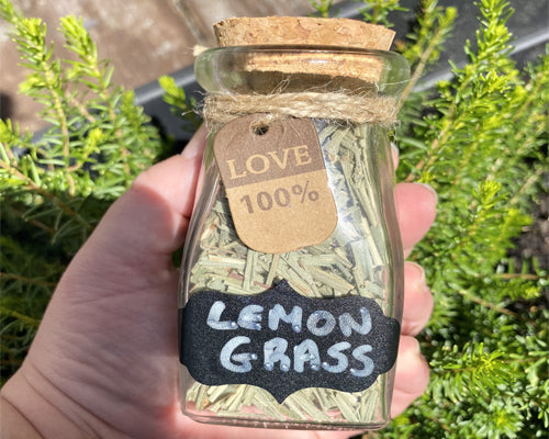 Lemon Grass dried herb Bottle - 100ml