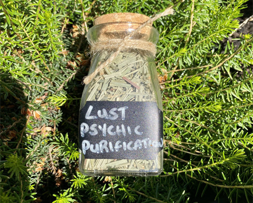 Lemon Grass dried herb Bottle - 100ml