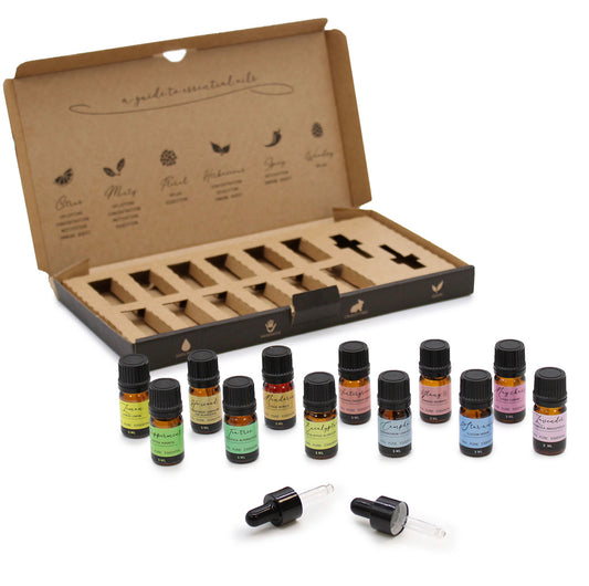 Aromatherapy Essential Oil Set - Starter Pack