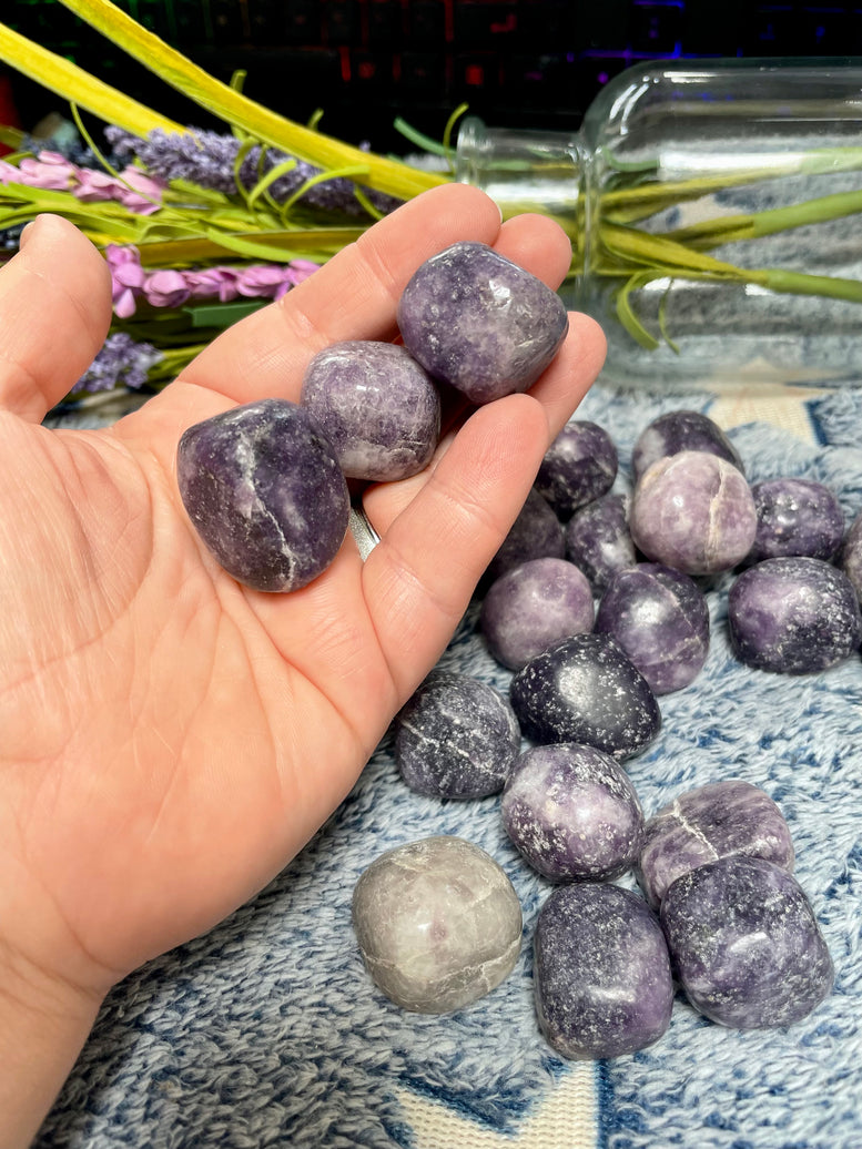 Natural Lepidolite Tumble Stones | Crystals | Reiki | Chakra | Witchcraft | Wiccan | Pagan | Polished | Gemstones | Crafts | Healing