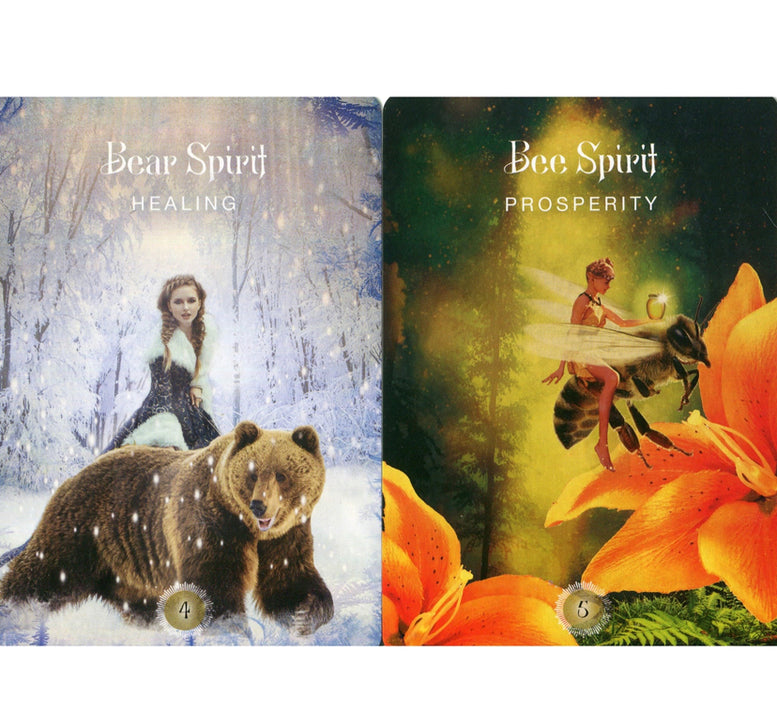 The Sacred Forest Oracle Cards | Witchcraft | Wiccan | Pagan | Mystic | Tarot | Divination