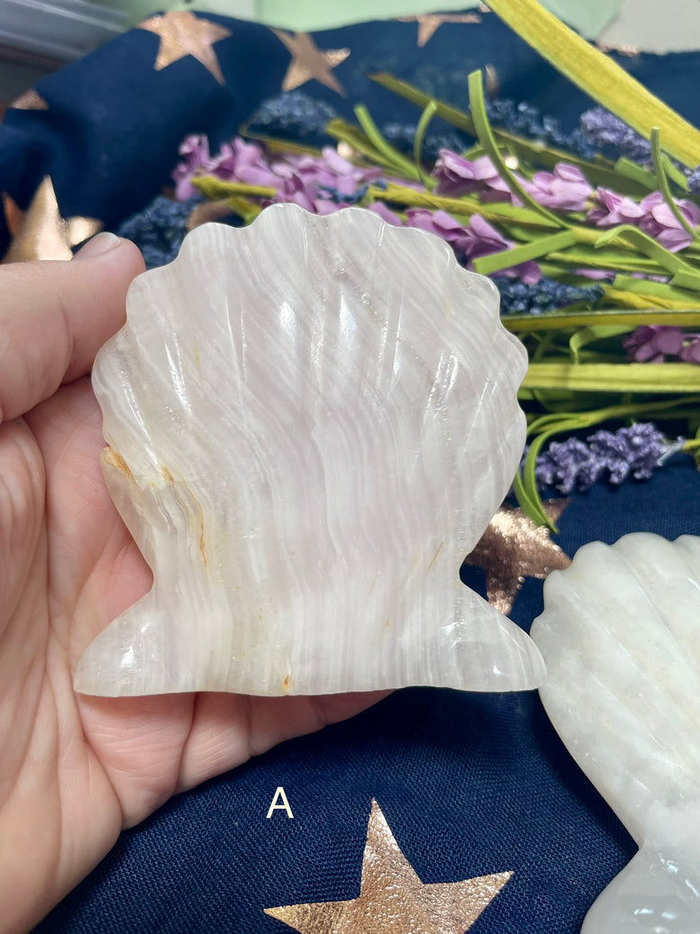 Natural Pink Calcite Sea Shell Crystal | Ornament | Pagan | Witchcraft | Wiccan | Minerals | Gemstones | Moon Witch | Crystals | Polished