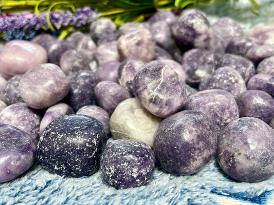 Natural Lepidolite Tumble Stones | Crystals | Reiki | Chakra | Witchcraft | Wiccan | Pagan | Polished | Gemstones | Crafts | Healing