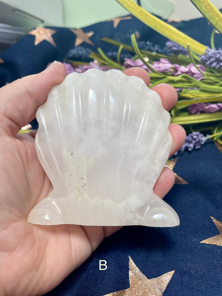 Natural Pink Calcite Sea Shell Crystal | Ornament | Pagan | Witchcraft | Wiccan | Minerals | Gemstones | Moon Witch | Crystals | Polished